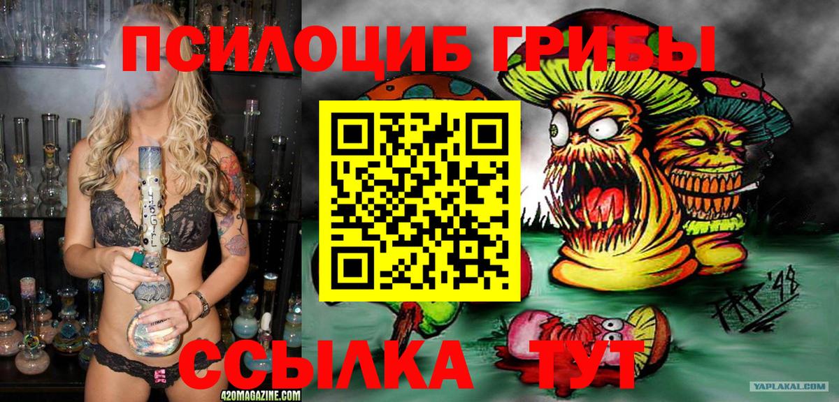 Псилоцибиновые грибы Psilocybine cubensis Лобня
