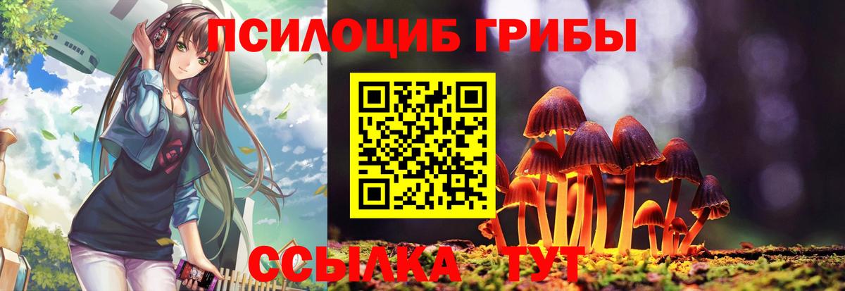 Псилоцибиновые грибы GOLDEN TEACHER  Вход с VPN  Лобня 